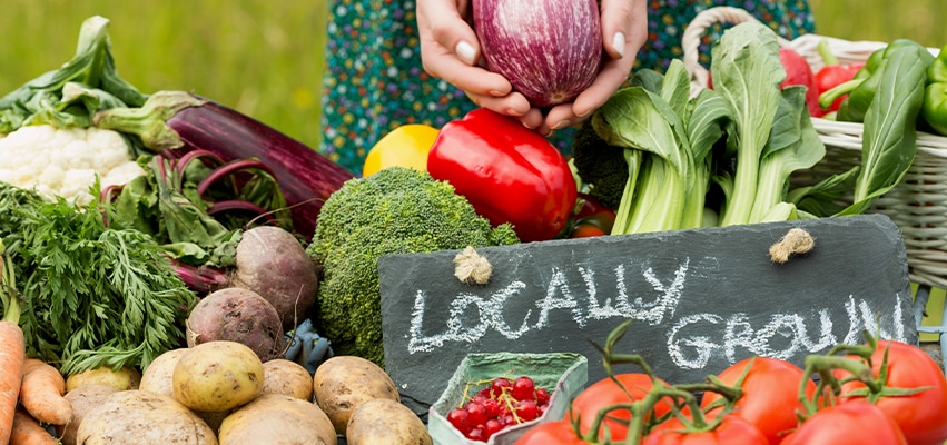 Samantha Hutchison and Julie Bielfeldt, Peoria Heights Farmers Market coordinators