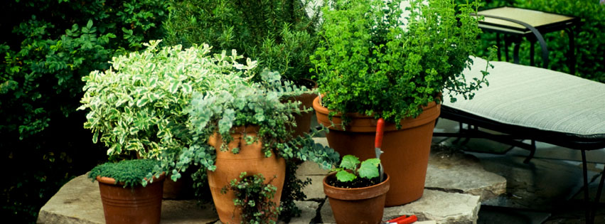 Container gardening