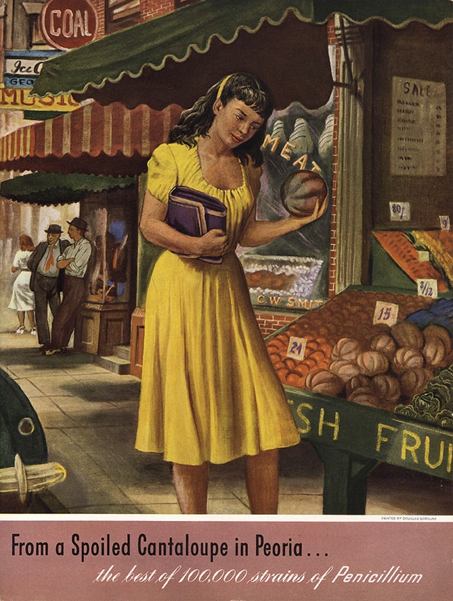 This 1948 painting by Douglas Gorsline depicts “Moldy Mary” finding the infamous cantaloupe in a Peoria market