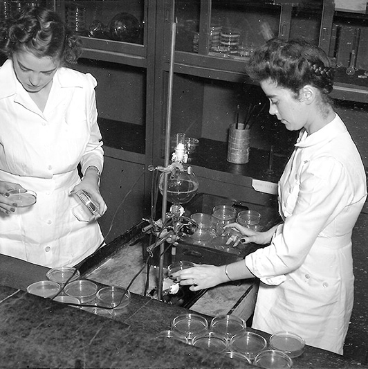 Mary Hunt working in the lab