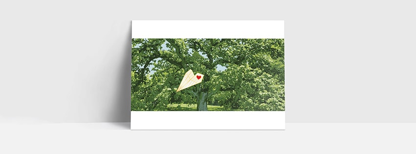 Shaped like a paper airplane, the 1.5-inch, gold hard enamel pin is mounted on a postcard featuring the 500-year-old giant burr oak tree on High Street.