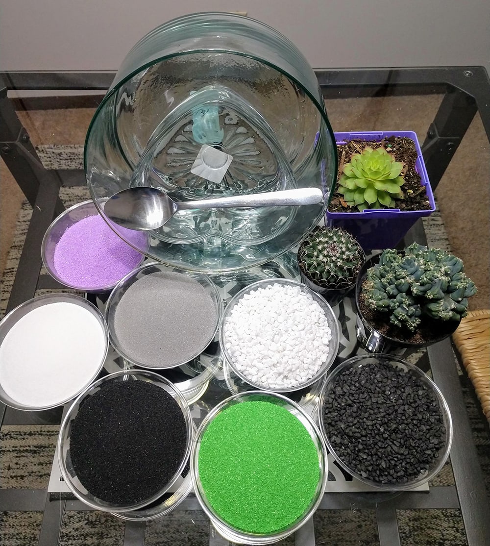 Materials for creating succulent sand art
