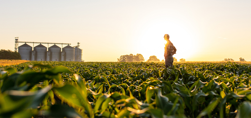 Farmer silhouetted in Field