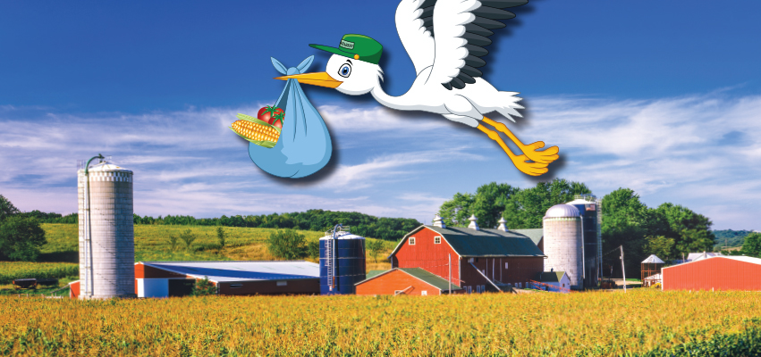 Graphic of stork flying with a bag of food over a farm