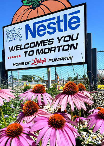 Nestle plant welcome sign with purple flowers