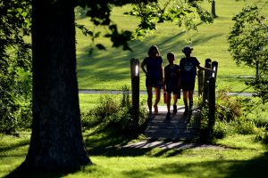 People standing on Bridge in Park