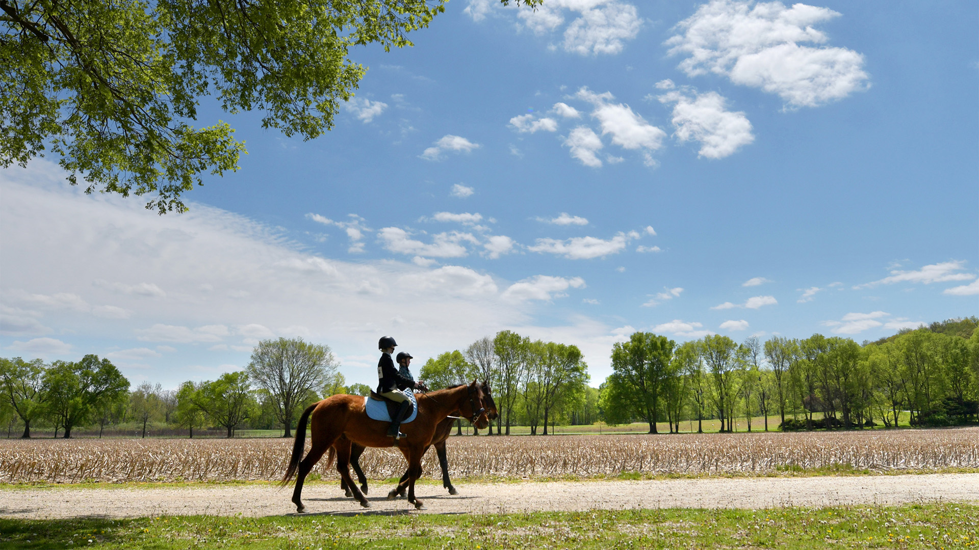 Riders warm up before a riding competition at the Heart of Illinois Horse Arena