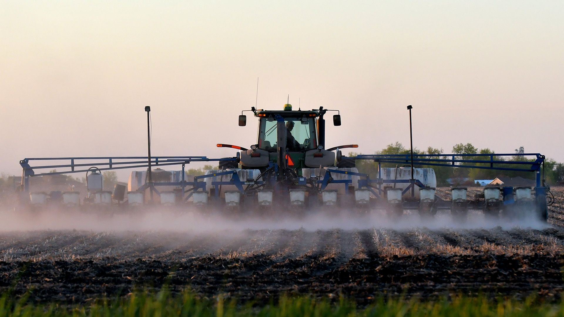 Planting Sunset