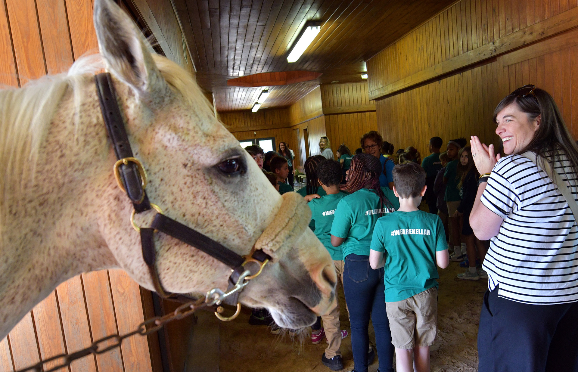 Adults and students from Kellar Primary School visit Pringle Stables in Edwards