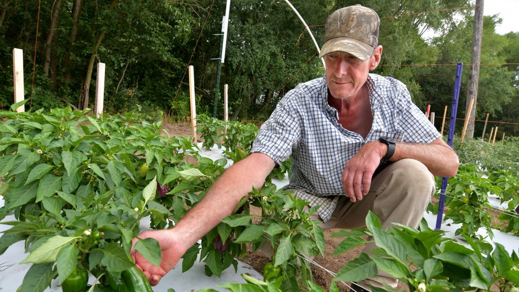 Randy Starnes of Crooked Row Farm in Chillicothe with his peppers, just one of the many varieties of produce he grows