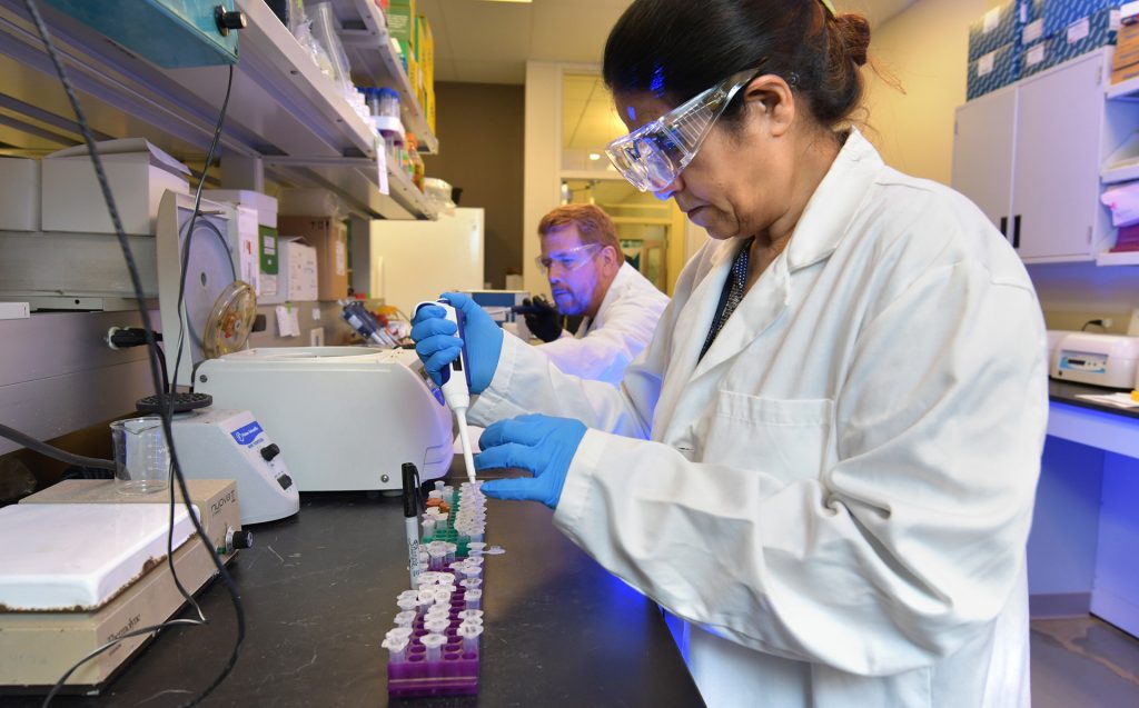 Lab workers do their thing at Midwest Bioprocessing