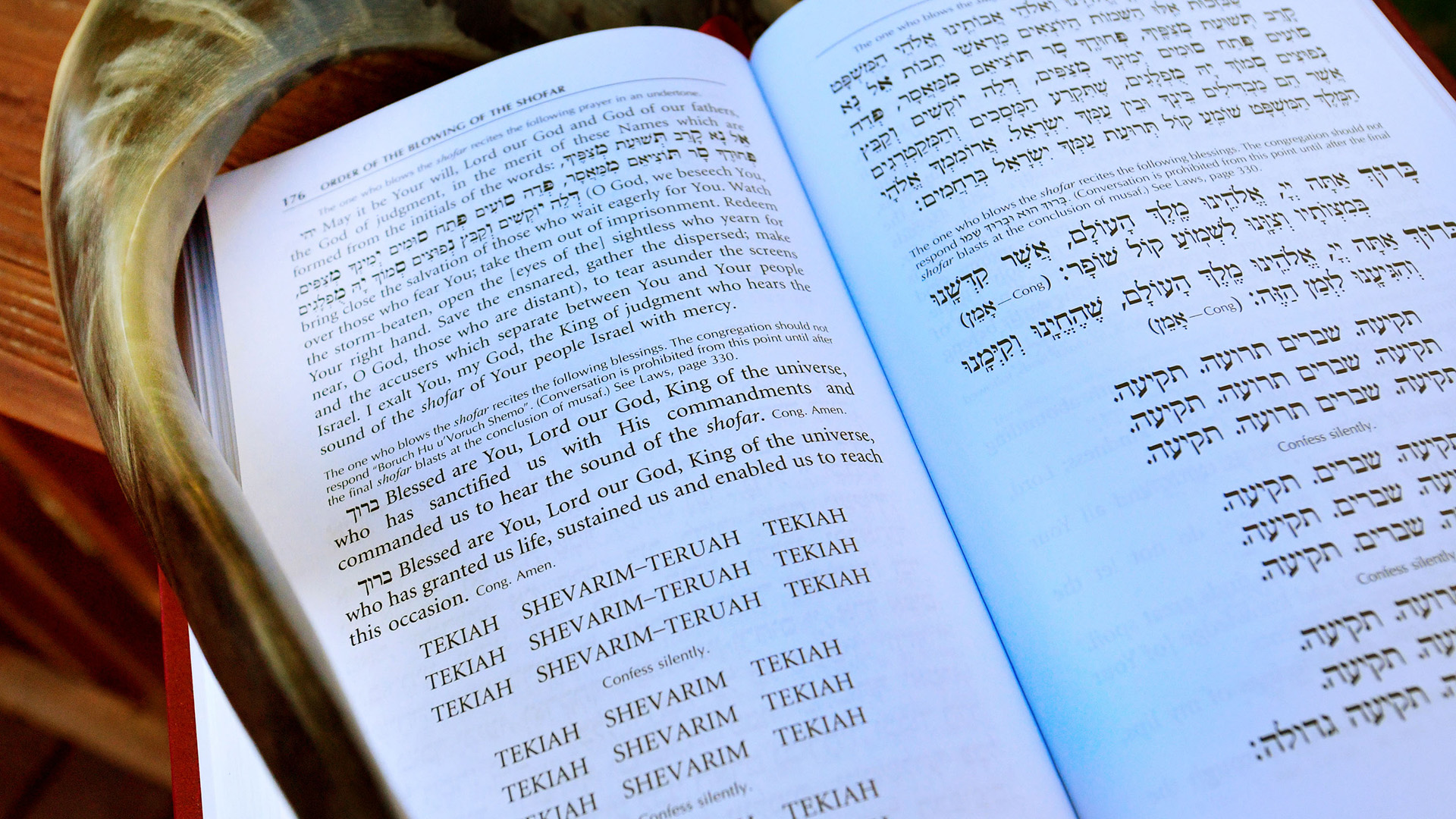 The book on Rosh Hashanah
